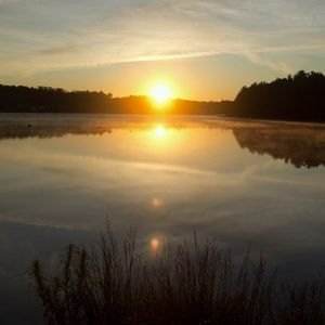 Meet your Posher, Carol